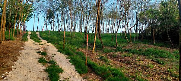 Lesenceistvánd 2. képe