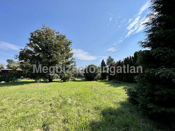 Kehidakustány képe