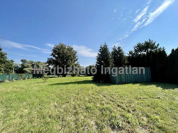 Kehidakustány 2. képe