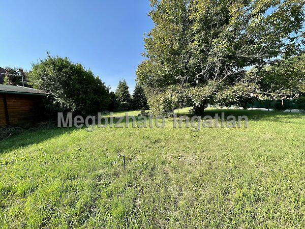 Kehidakustány 3. képe