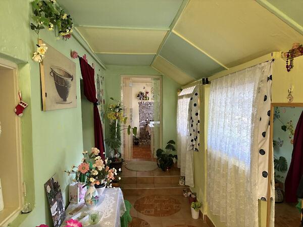 Zrínyi, Hódmezővásárhely 2. képe