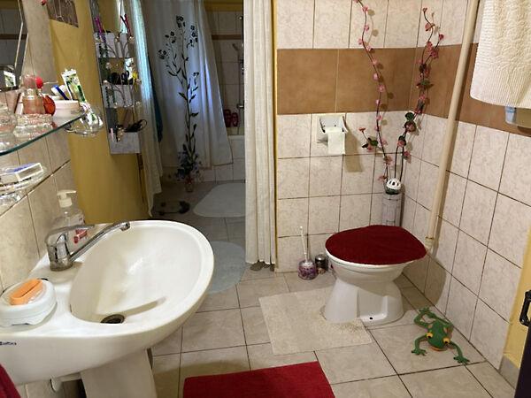 Zrínyi, Hódmezővásárhely 3. képe