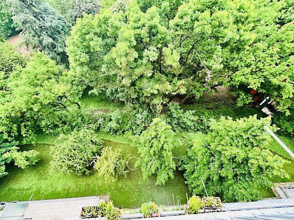 Budapest, XI. kerület 2. képe