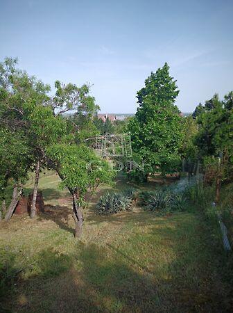 Madárcsicsergős, összközműves, Sukoró 2. képe