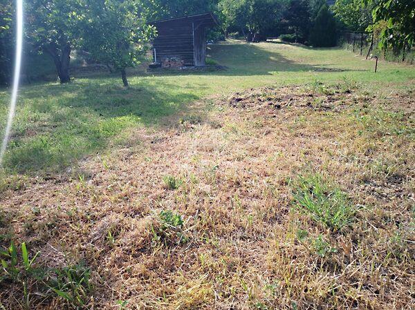 Madárcsicsergős, összközműves, Sukoró 3. képe