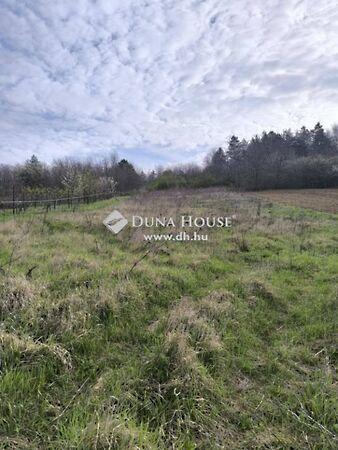 Sokorópátka 2. képe