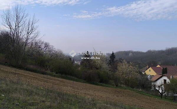 Sokorópátka 3. képe