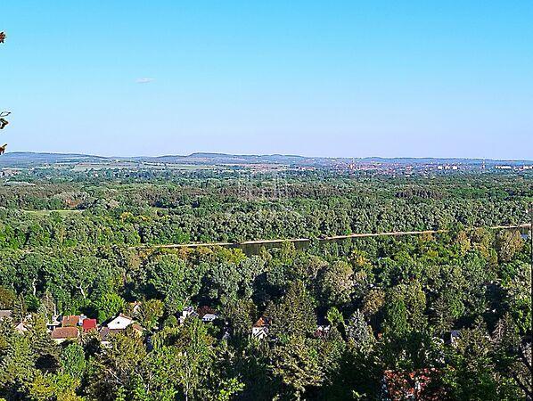 Gesztenye, Szentendre képe