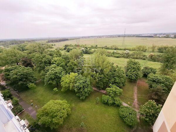 Erdőkerülő, Budapest, XV. kerület 3. képe