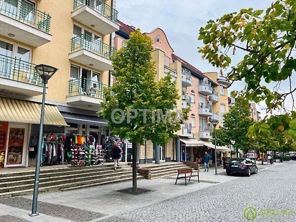 Rákóczi, Hévíz 3. képe