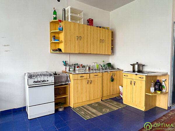 Tavirózsa, Hévíz 3. képe