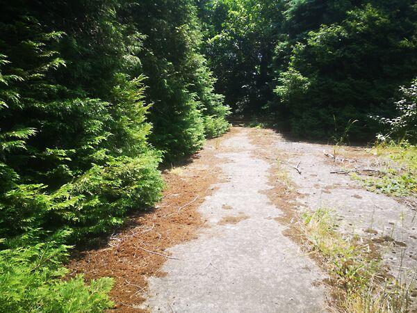 Balatonfenyves 2. képe