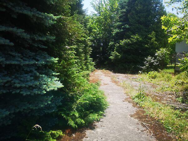 Balatonfenyves 3. képe