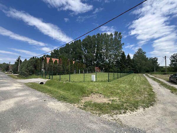 Kehidakustány képe