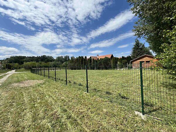 Kehidakustány 2. képe