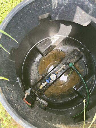 Kehidakustány 3. képe