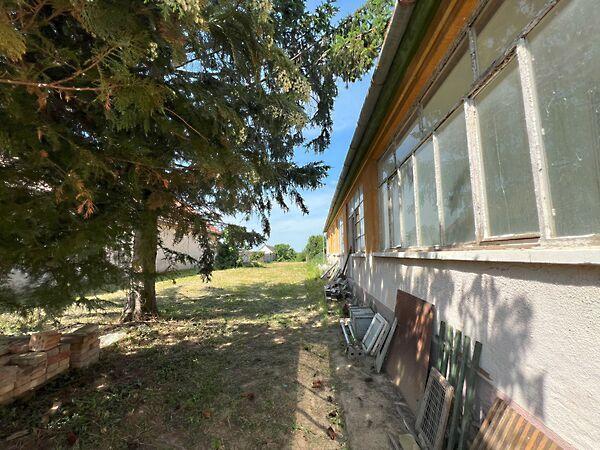 Petőfi S., Babarc képe