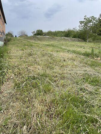 Jusztina, Érd 3. képe