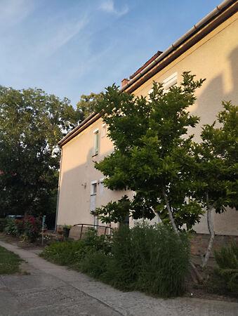 Nagy György utca, Makó képe