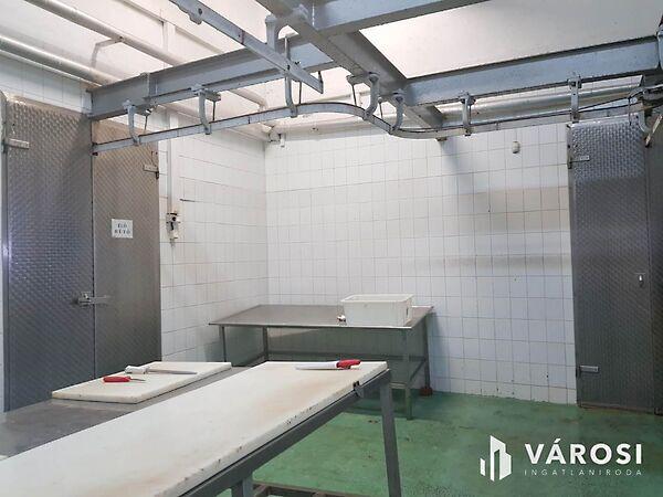 Hódmezővásárhely képe