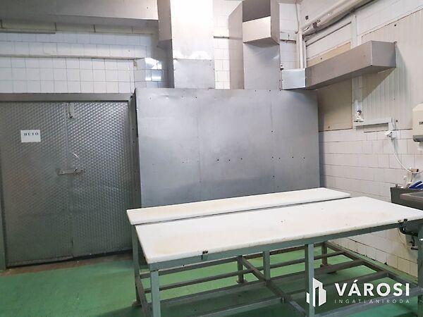 Hódmezővásárhely 2. képe