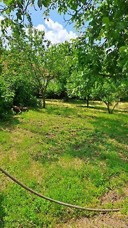 Nyíregyháza 2. képe