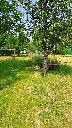 Nyíregyháza 3. képe