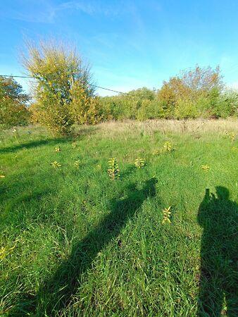 Szabadbattyán képe