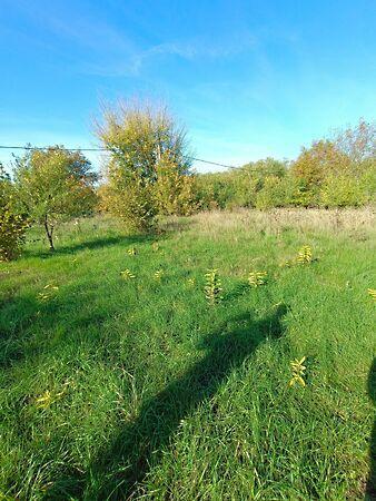 Szabadbattyán 2. képe