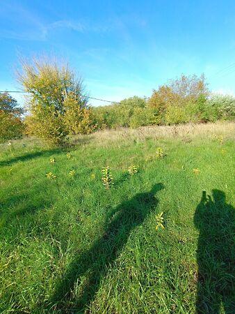 Szabadbattyán 3. képe