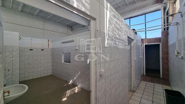 Városközponthoz, Székesfehérvár 3. képe