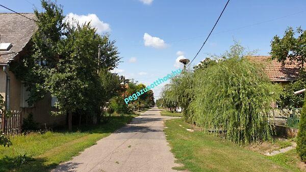 Táncsis Mihály, Tiszaörs 3. képe