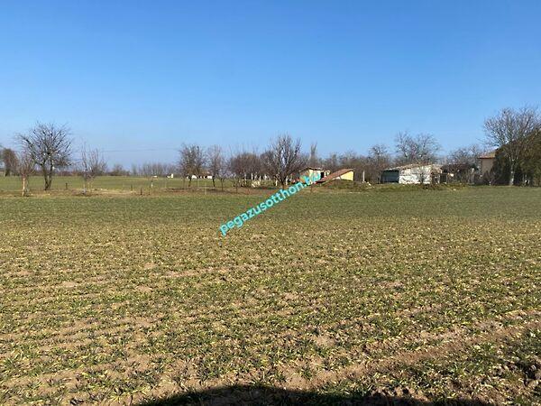 Dózsa György, Tiszaszentimre 2. képe