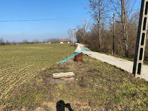 Dózsa György, Tiszaszentimre 3. képe