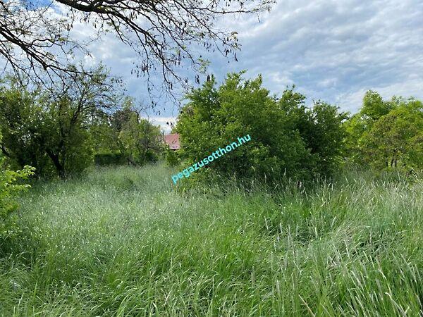 Mártírok, Tiszaroff 3. képe