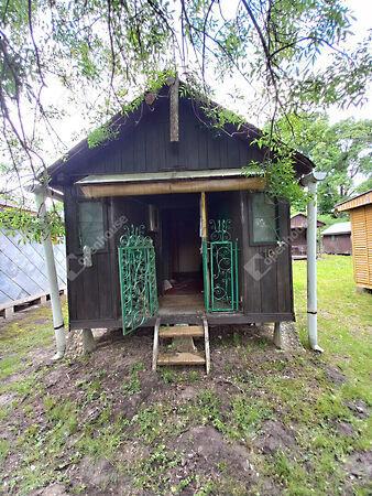 Csokonyavisonta képe