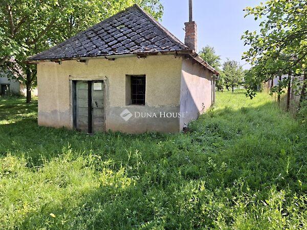 Dózsa György, Gyermely képe