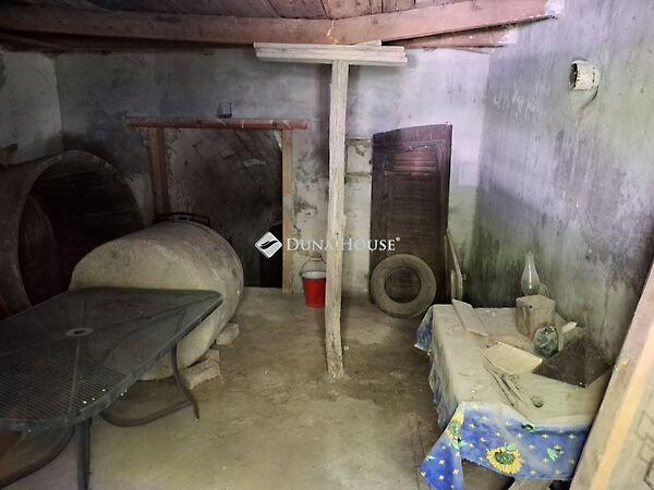 Dózsa György, Gyermely 3. képe