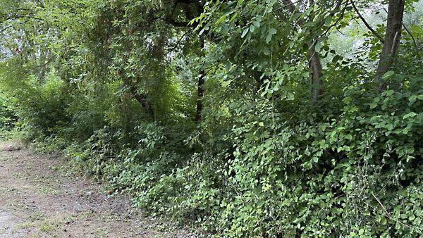 Balatongyörök 2. képe