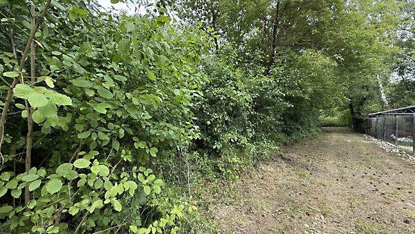 Balatongyörök képe