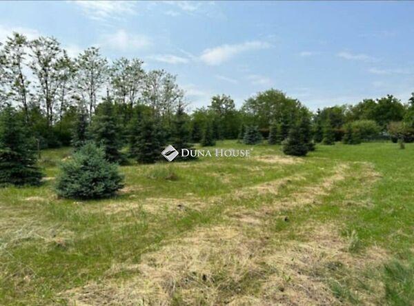 Harasztifalu 2. képe