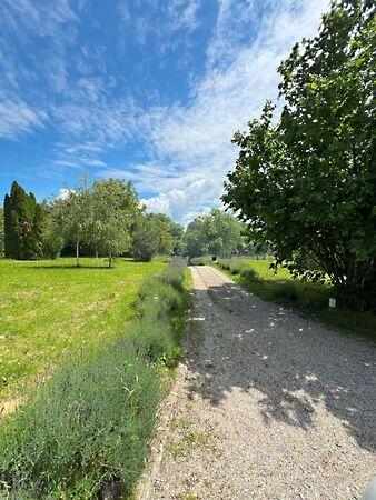 Petőfi, Somogyhárságy 3. képe