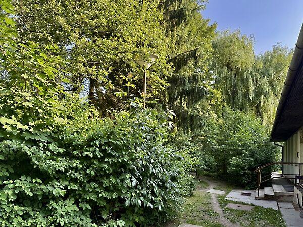 Virág, Doboz 3. képe