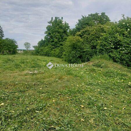 Petőfi Sándor, Magyarmecske 3. képe