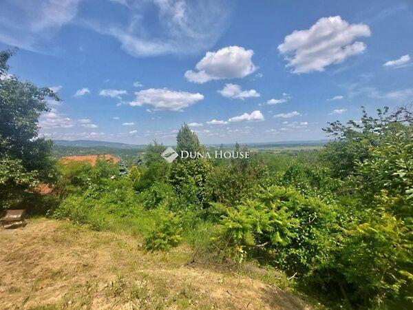 Kökény, Pomáz képe