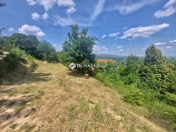 Kökény, Pomáz 3. képe