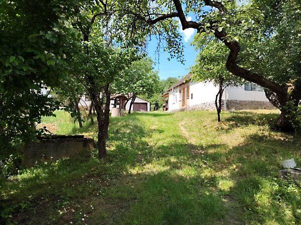 Károlyi Mihály, Parád képe