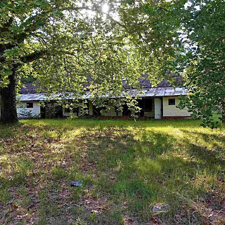 Balatonkeresztúr képe