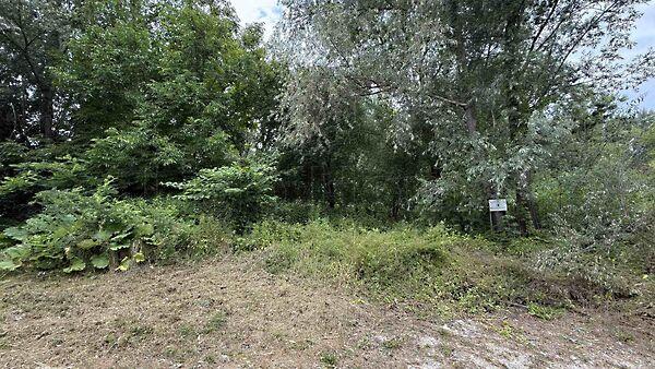 Balatongyörök képe