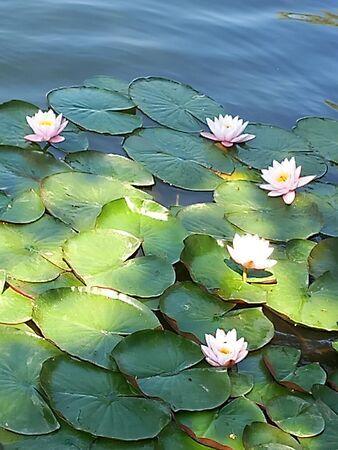 Békésszentandrás 3. képe